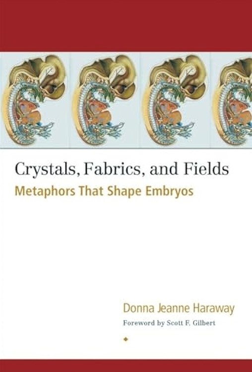 CRYSTALS, FABRICS AND FIELDS