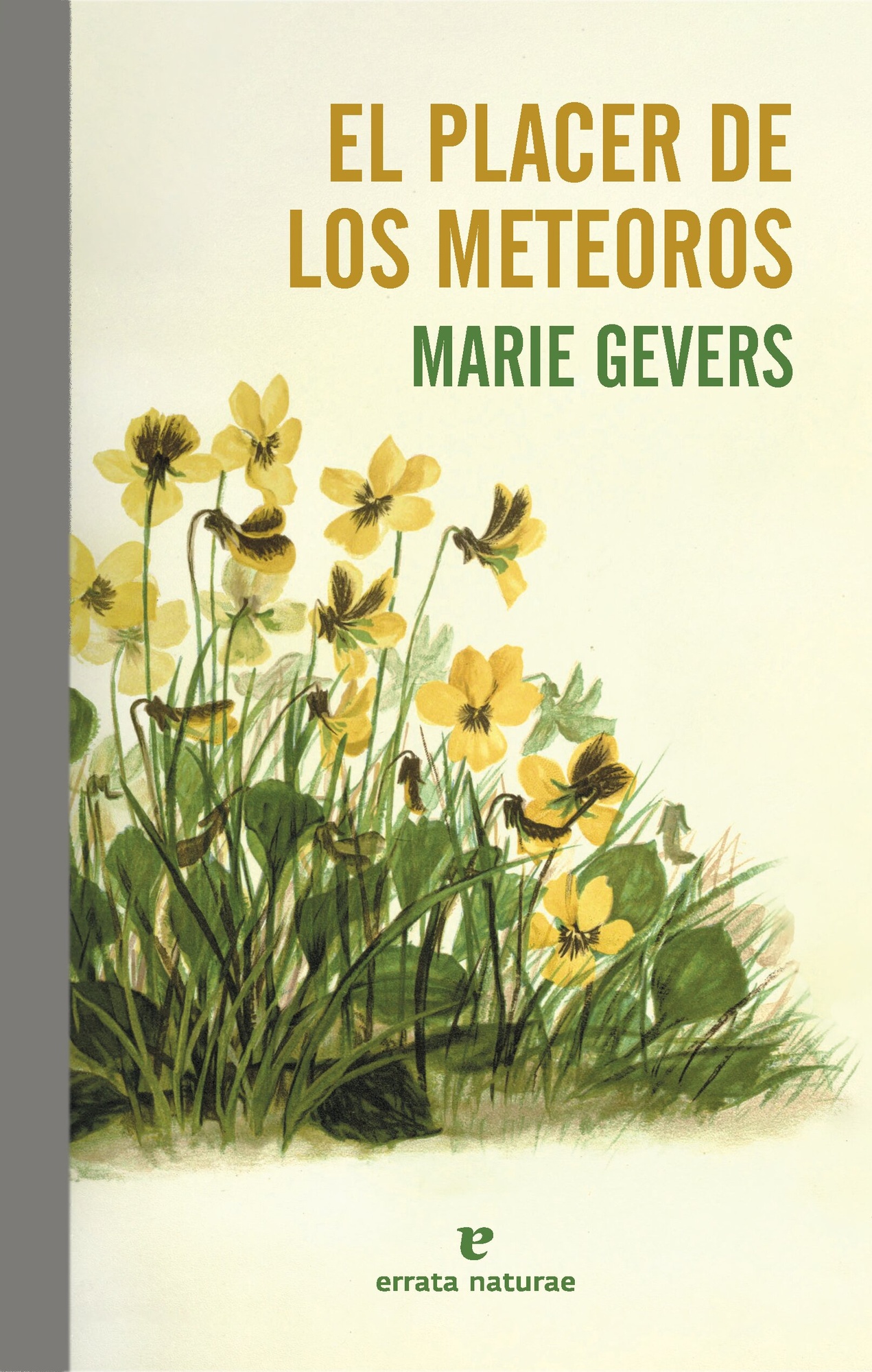 EL PLACER DE LOS METEOROS
