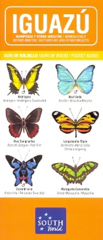 IGUAZÚ. MARIPOSAS Y OTROS INSECTOS