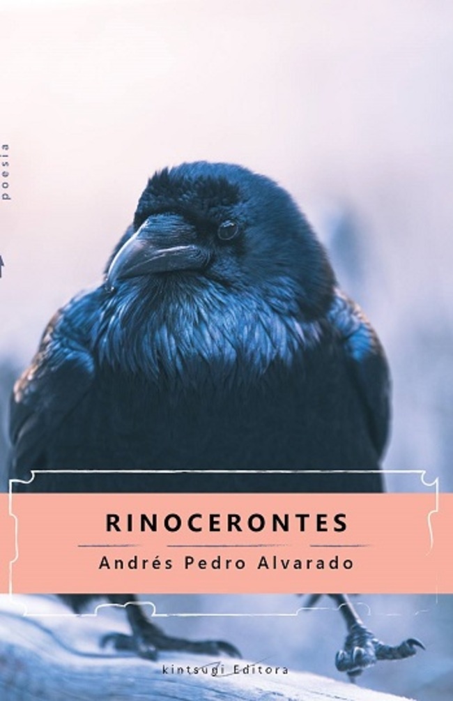 RINOCERONTES