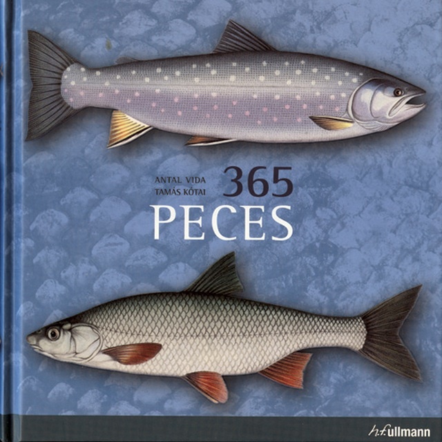 365 PECES