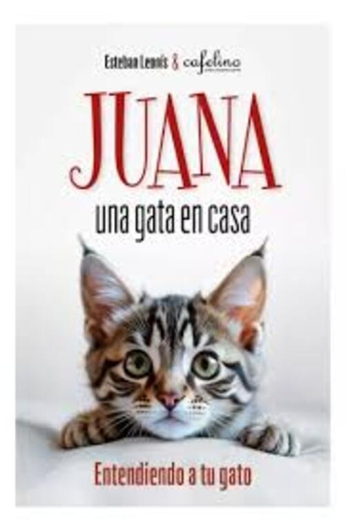 JUANA UNA GATA EN CASA