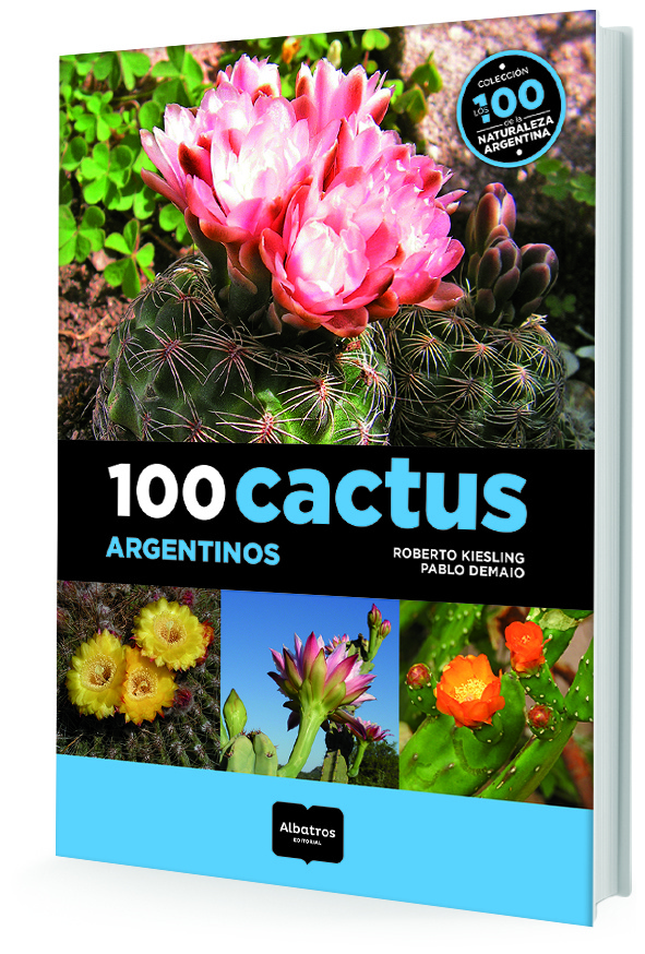 100 CACTUS ARGENTINOS
