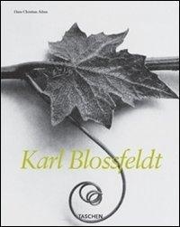 KARL BLOSSFELDT