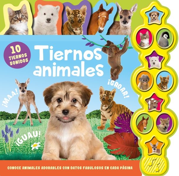10 SONIDOS DE ANIMALES - TIERNOS ANIMALES