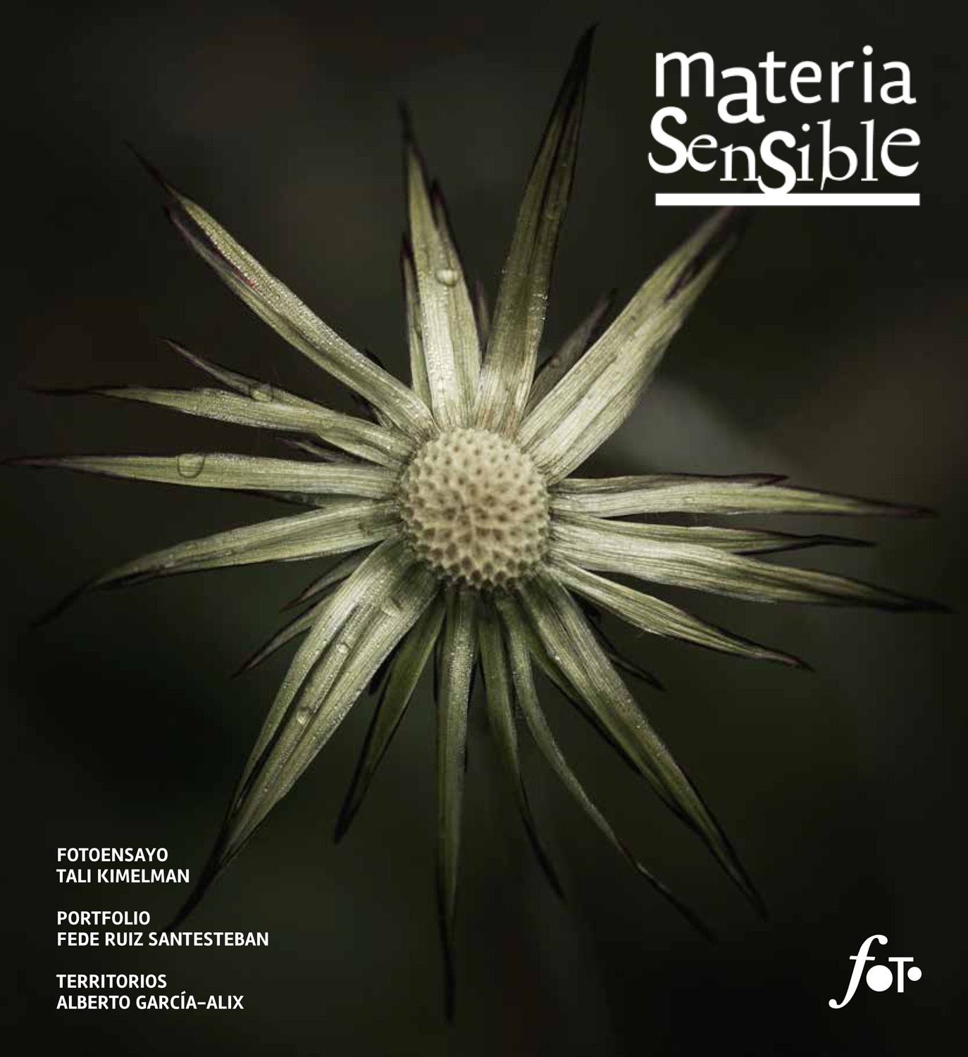 MATERIA SENSIBLE 16