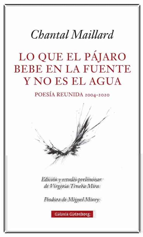 LO QUE EL PÁJARO BEBE EN LA FUENTE Y NO ES EL AGUA