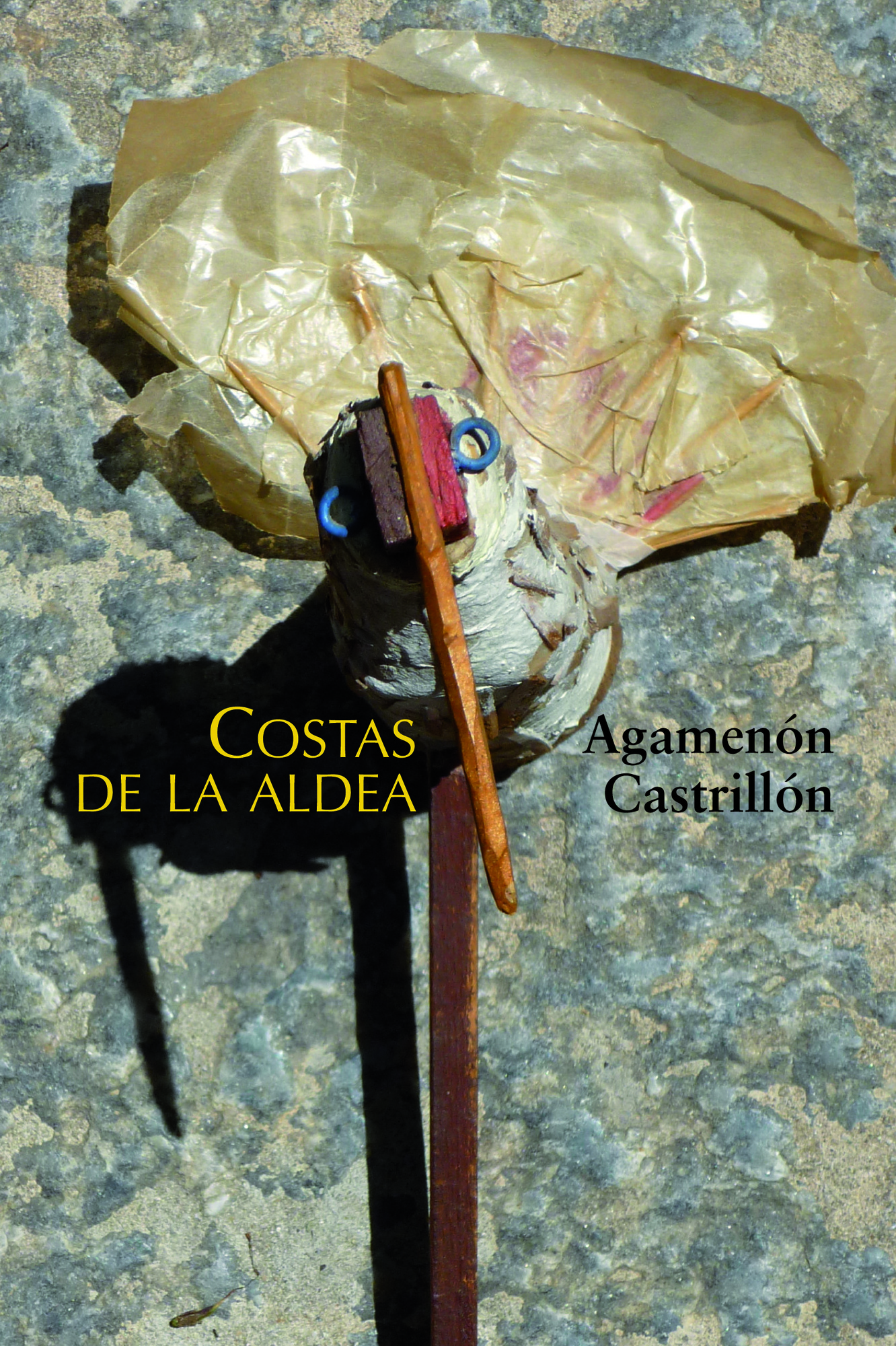 COSTAS DE LA ALDEA