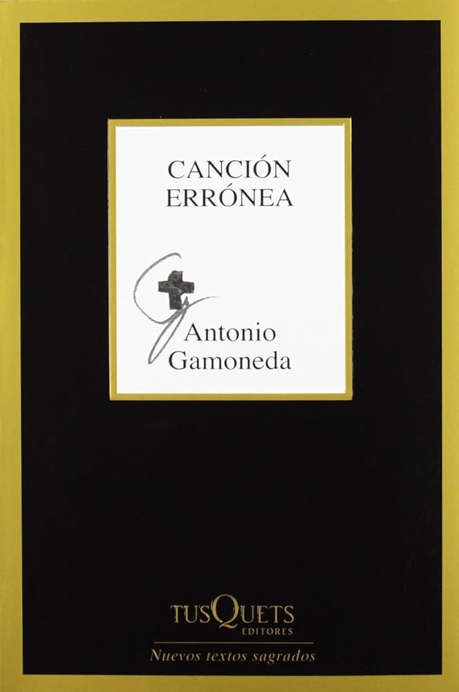 CANCIÓN ERRÓNEA