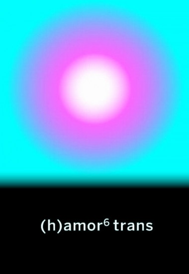 (H) AMOR 6 - TRANS
