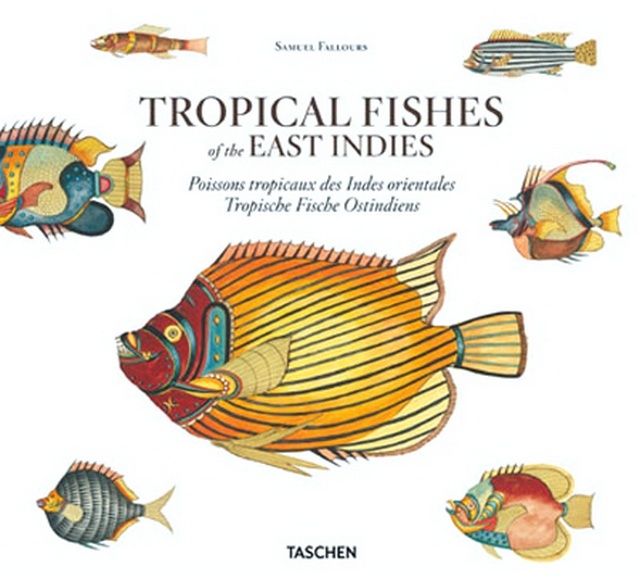 PECES TROPICALES DE LAS INDIAS ORIENTALES