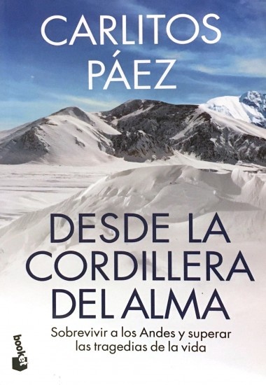 DESDE LA CORDILLERA DEL ALMA