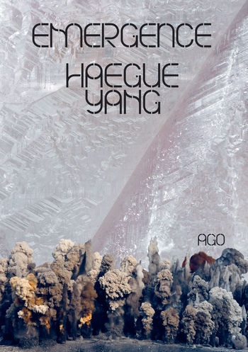 EMERGENCE. HAEGUE YANG