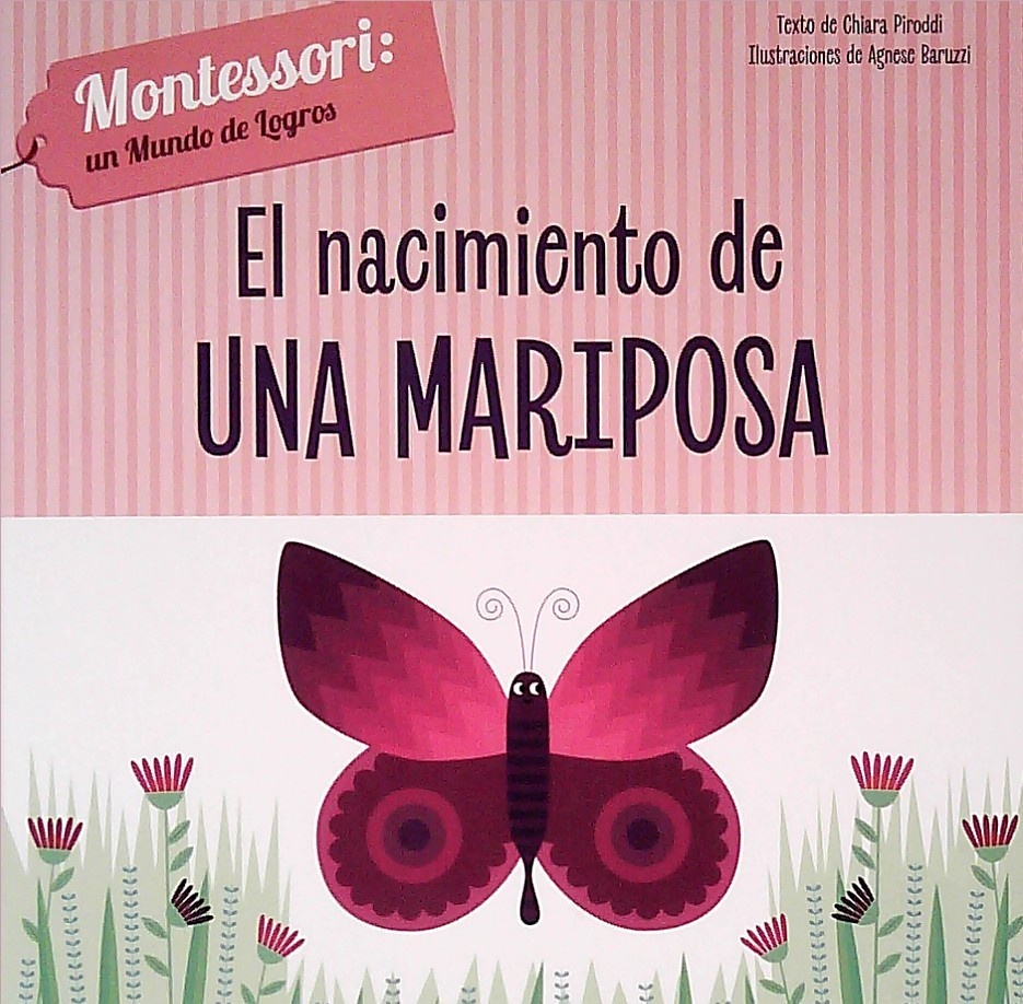 EL NACIMIENTO DE UNA MARIPOSA