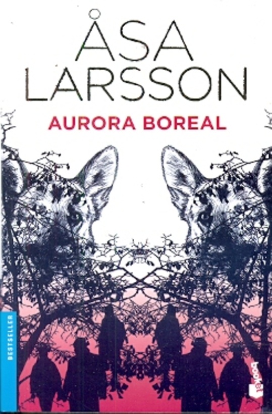AURORA BOREAL