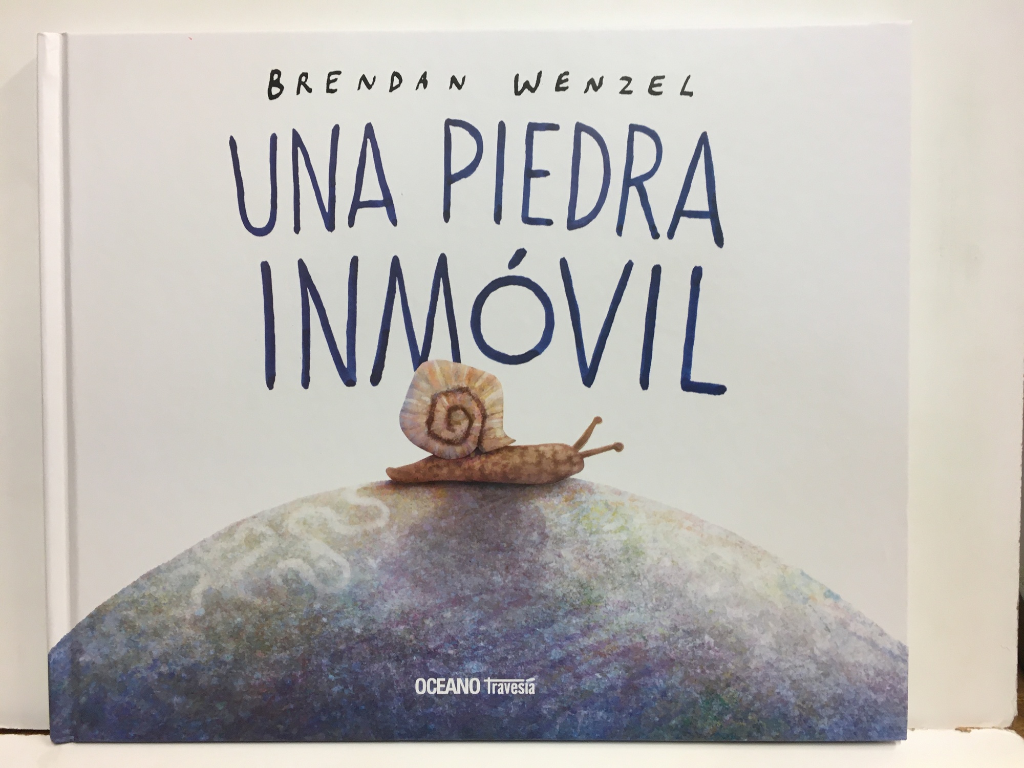 UNA PIEDRA INMOVIL