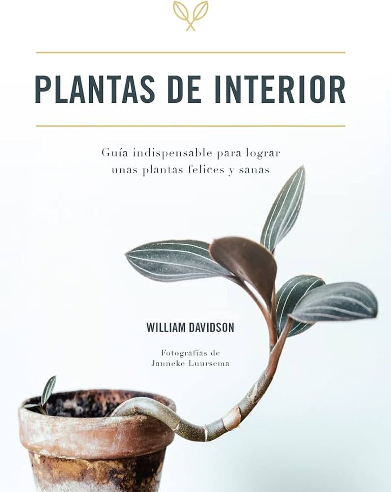 PLANTAS DE INTERIOR