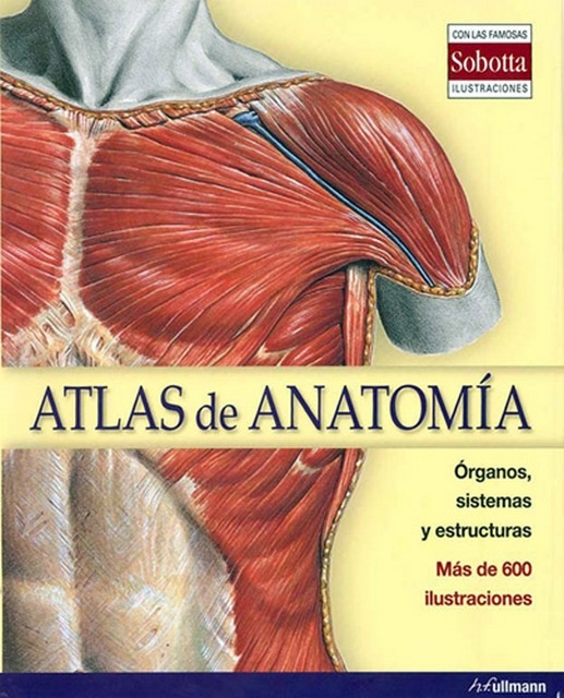 ATLAS DE ANATOMÍA