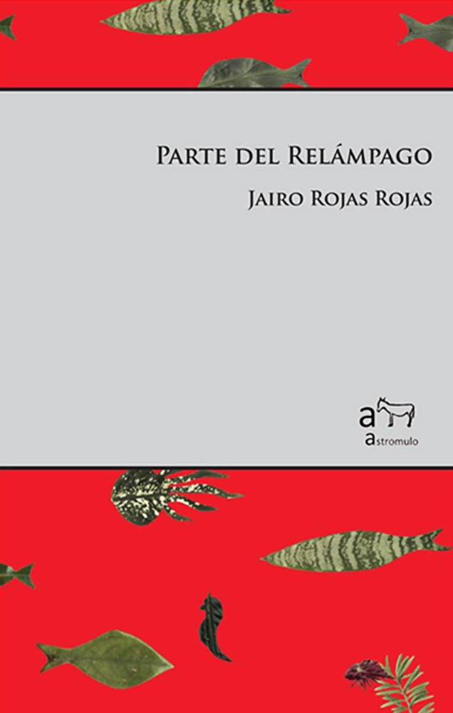 PARTE DEL RELÁMPAGO