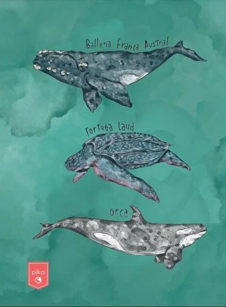 CUADERNO. OCÉANO URUGUAY