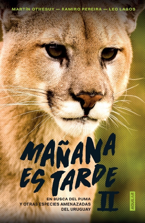 MAÑANA ES TARDE 2