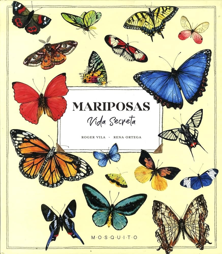 MARIPOSAS VIDA SECRETA