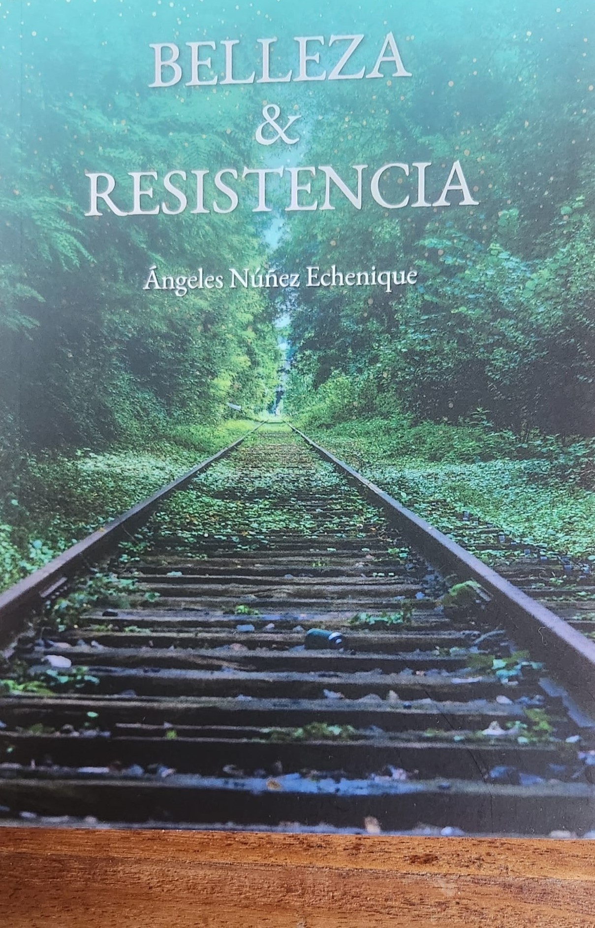 BELLEZA Y RESISTENCIA