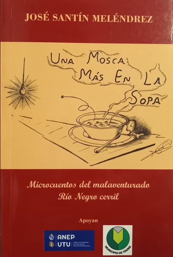 UNA MOSCA MÁS EN LA SOPA
