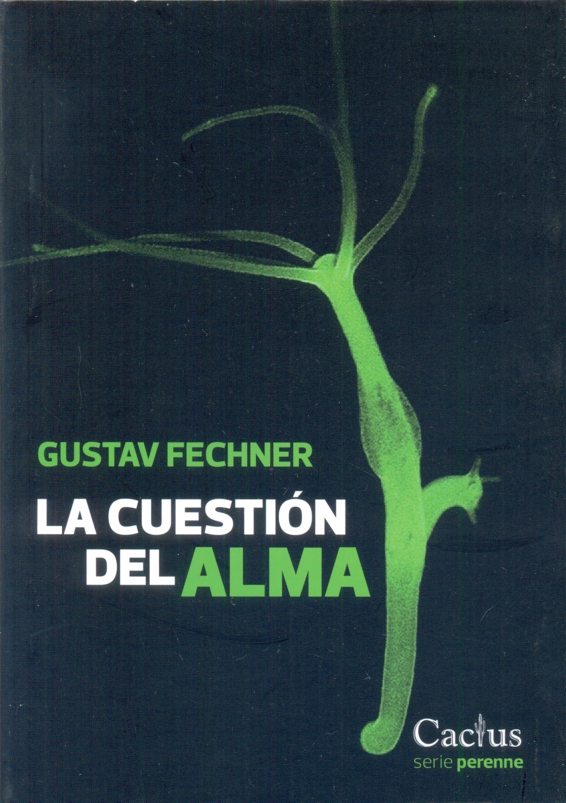 LA CUESTION DEL ALMA