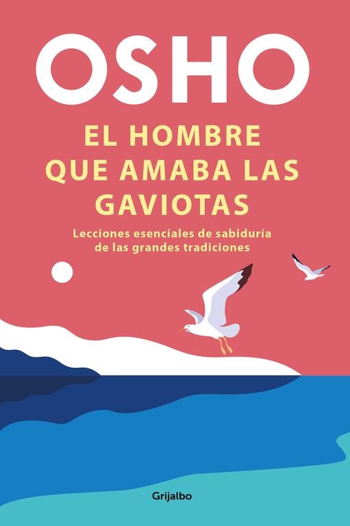 EL HOMBRE QUE MIRABA LAS GAVIOTAS