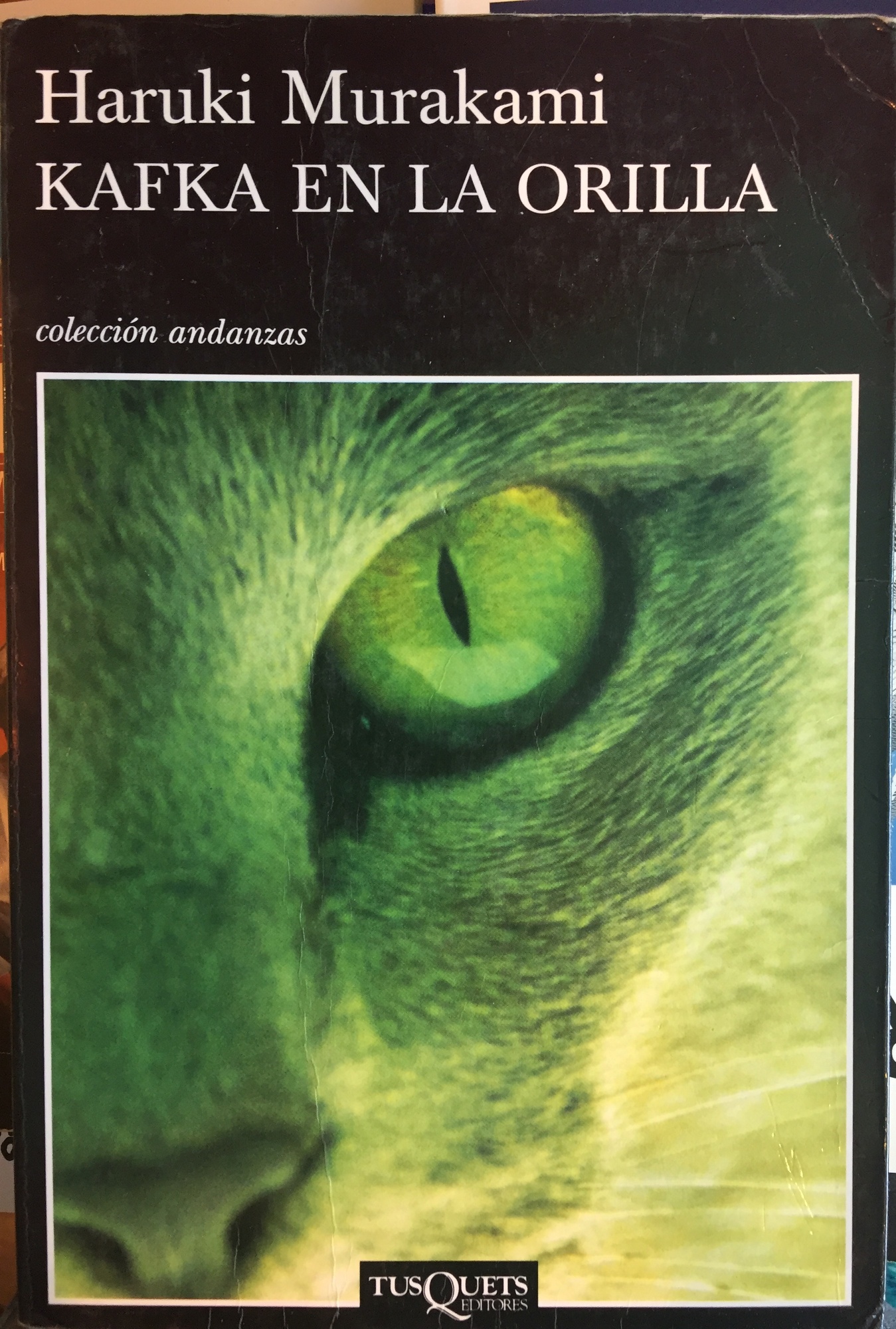 KAFKA EN LA ORILLA