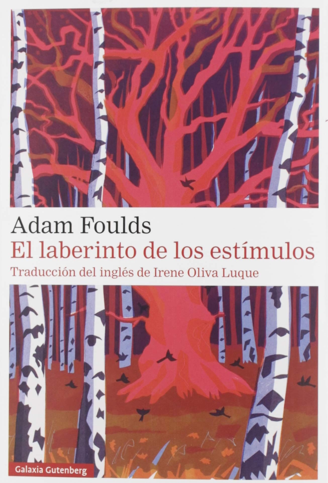 EL LABERINTO DE LOS ESTÍMULOS