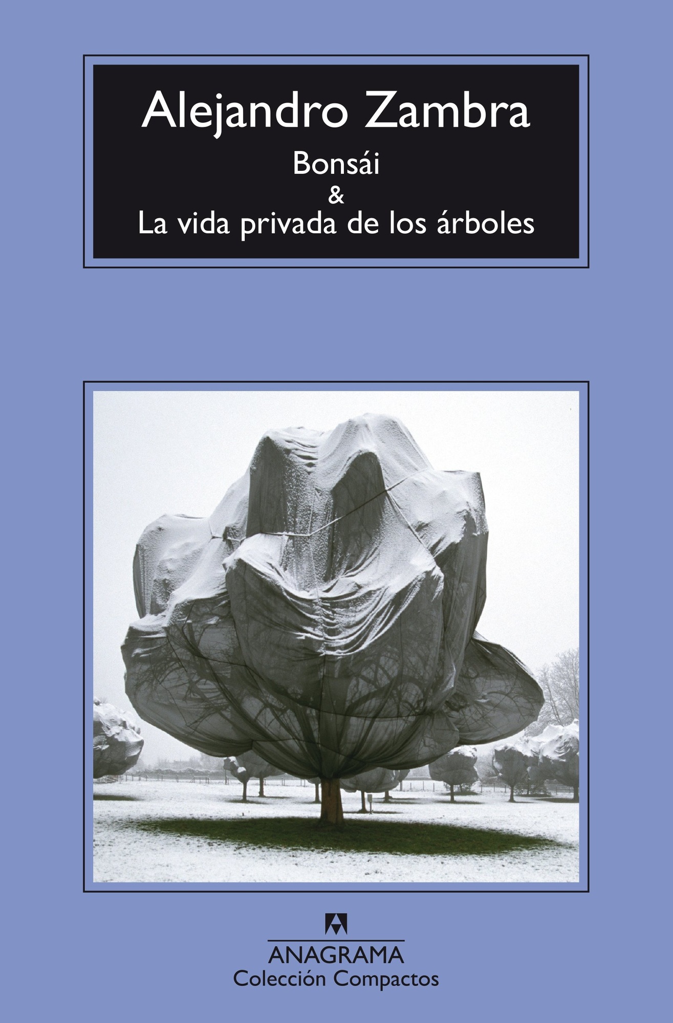 BONSAI & LA VIDA PRIVADA DE LOS ÁRBOLES