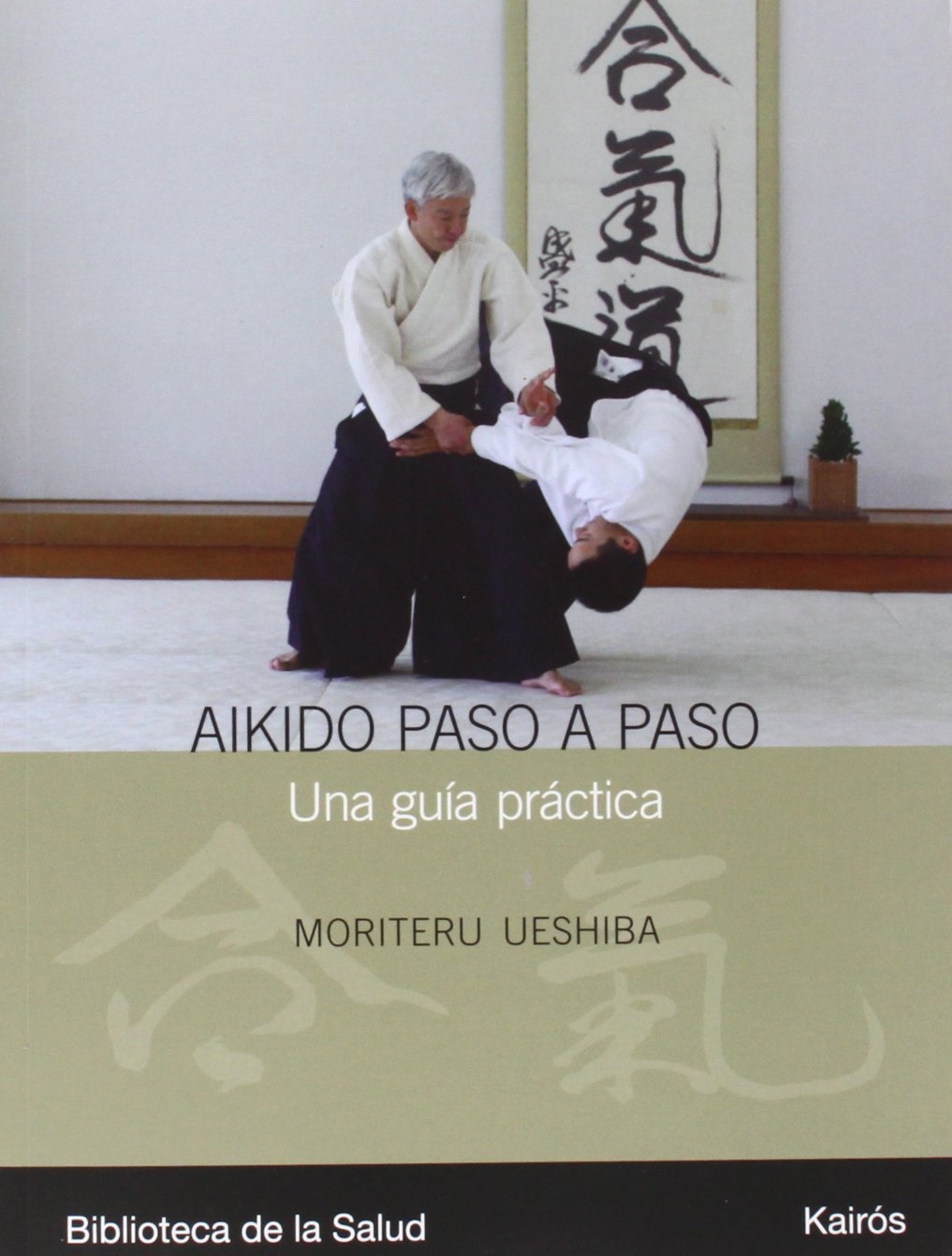 AIKIDO PASO A PASO