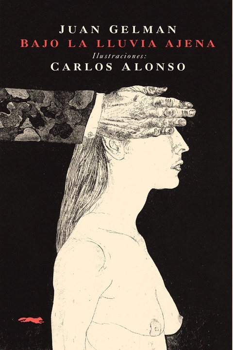 BAJO LA LLUVIA AJENA. (ILUSTRADO)