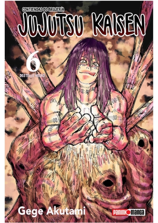 JUJUTSU KAISEN 06