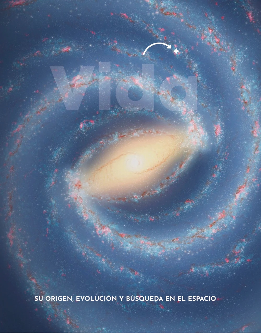 VIDA