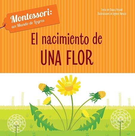 EL NACIMIENTO DE UNA FLOR