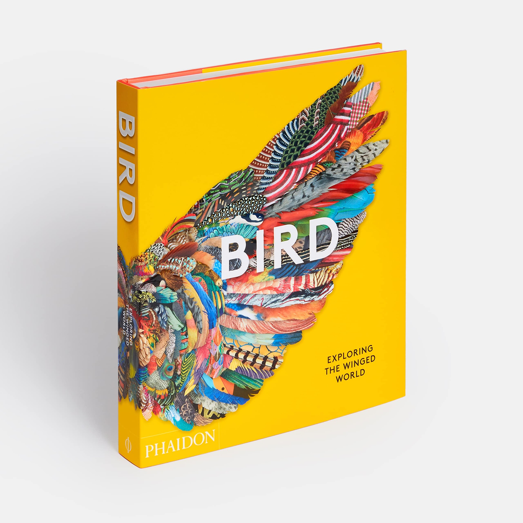 BIRDS. EXPLORING THE WINGED WORLD