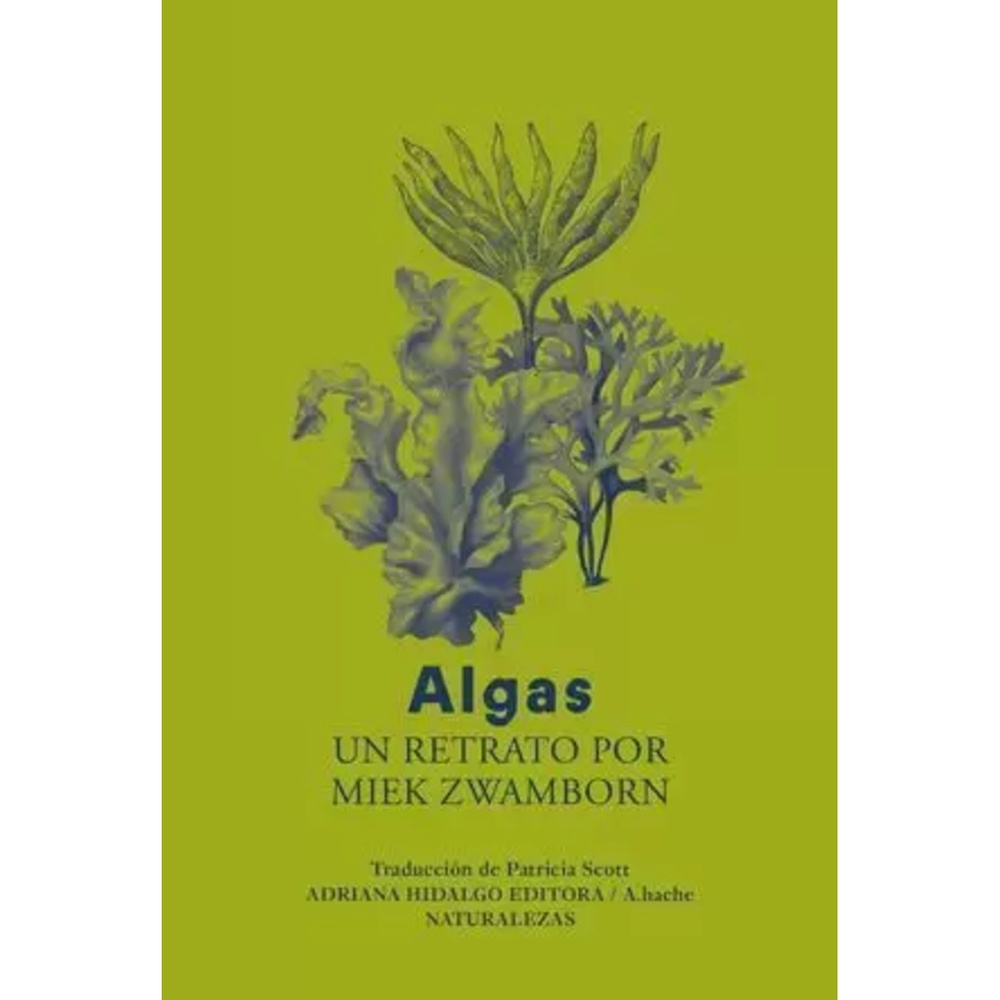 Algas