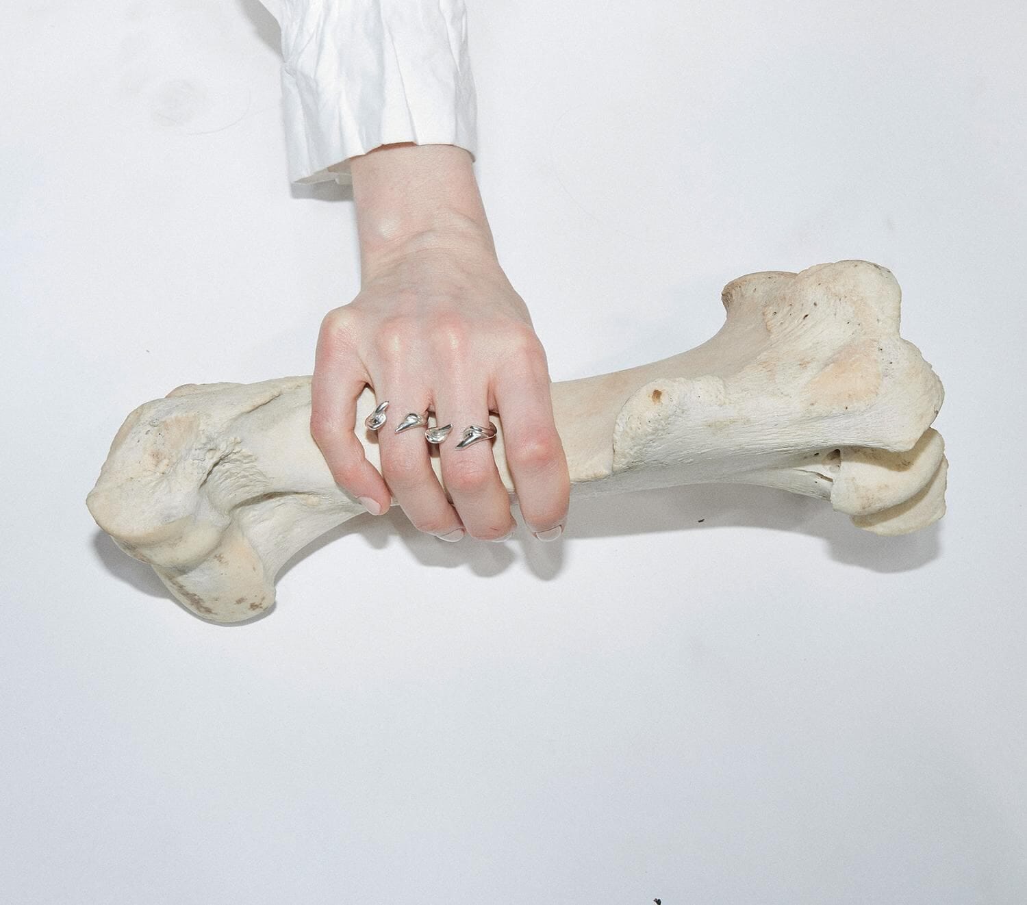 Anillo Vertebrae #2
