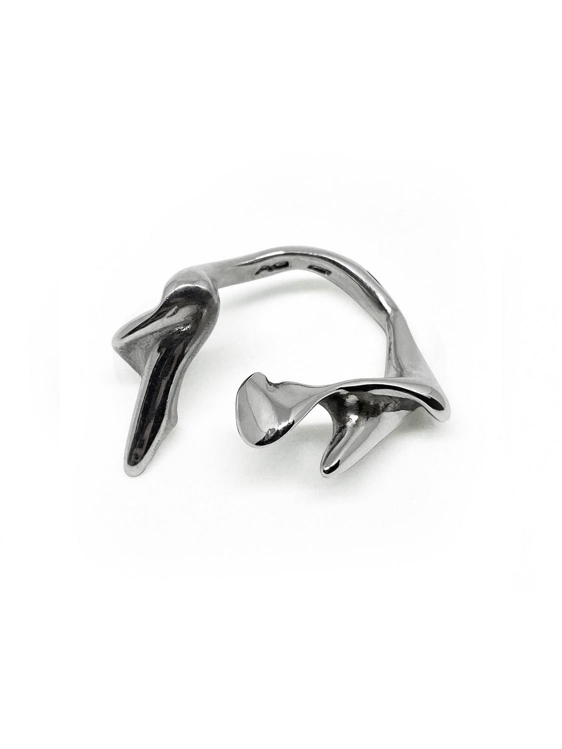Anillo Vertebrae #1