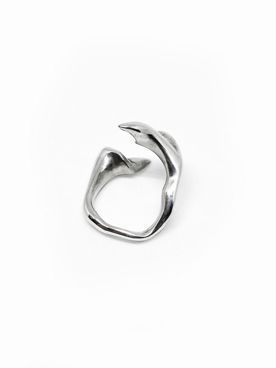 Anillo Vertebrae #2