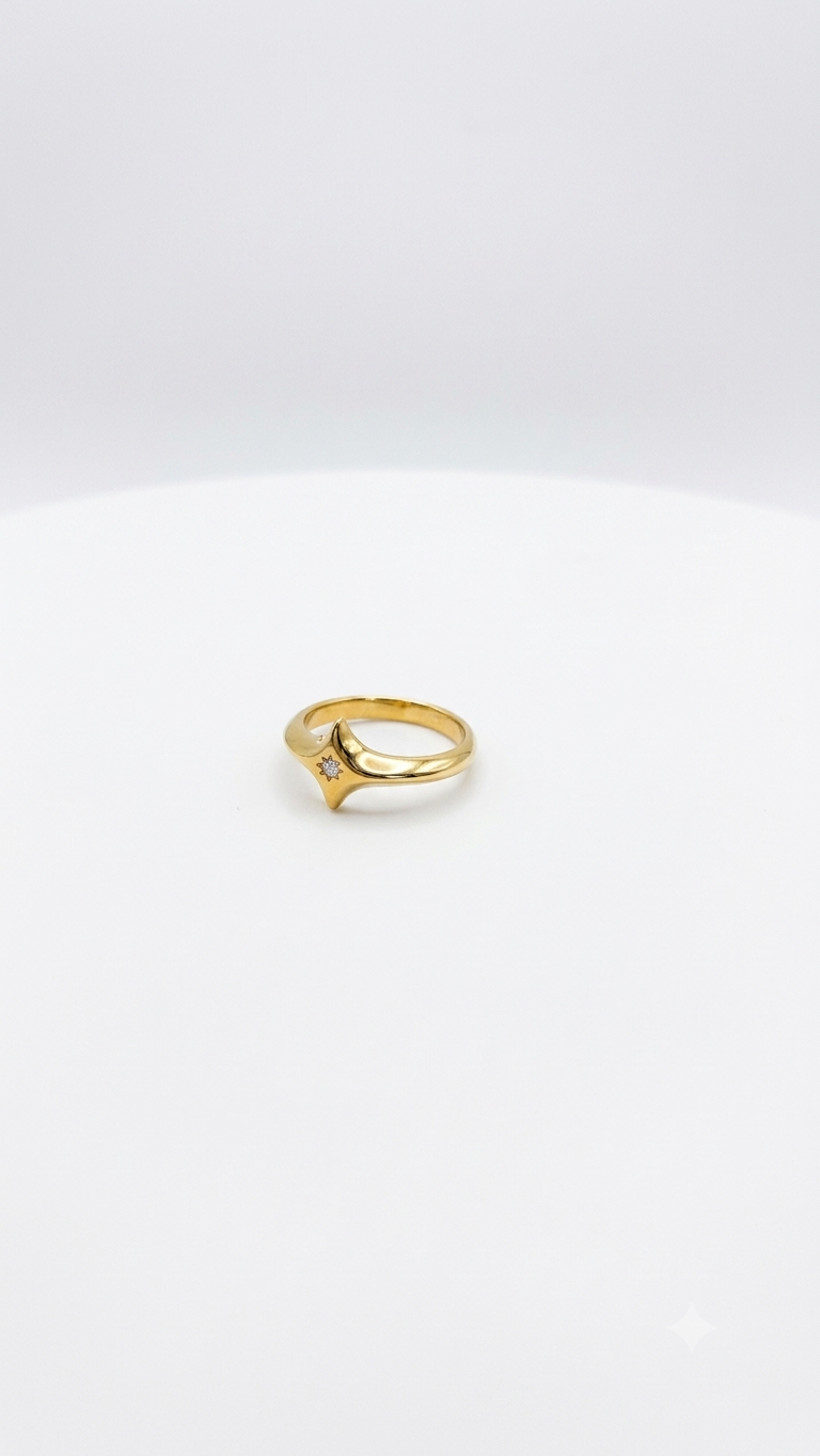 ANILLO FUGAZ