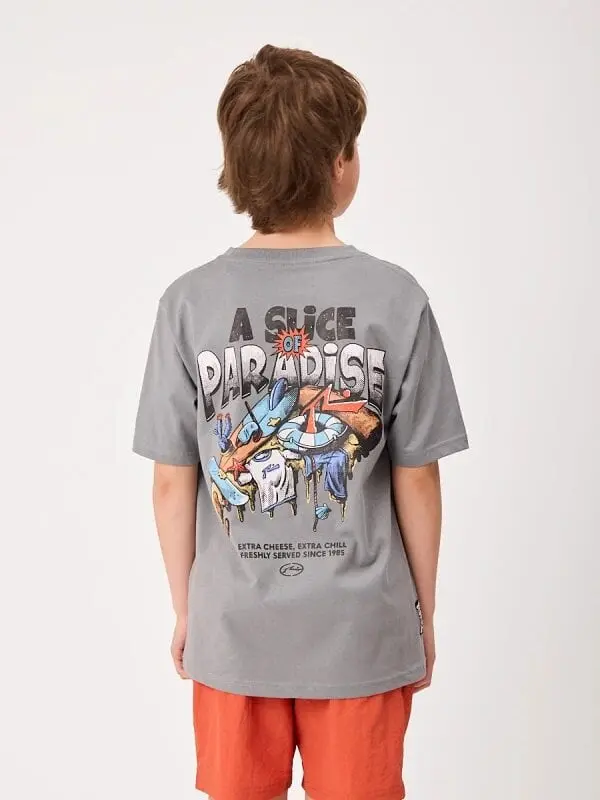 Remera Rusty Mapoles Teen – Gris Piedra