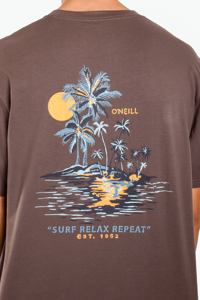 Remera O’Neill Veer – Marron