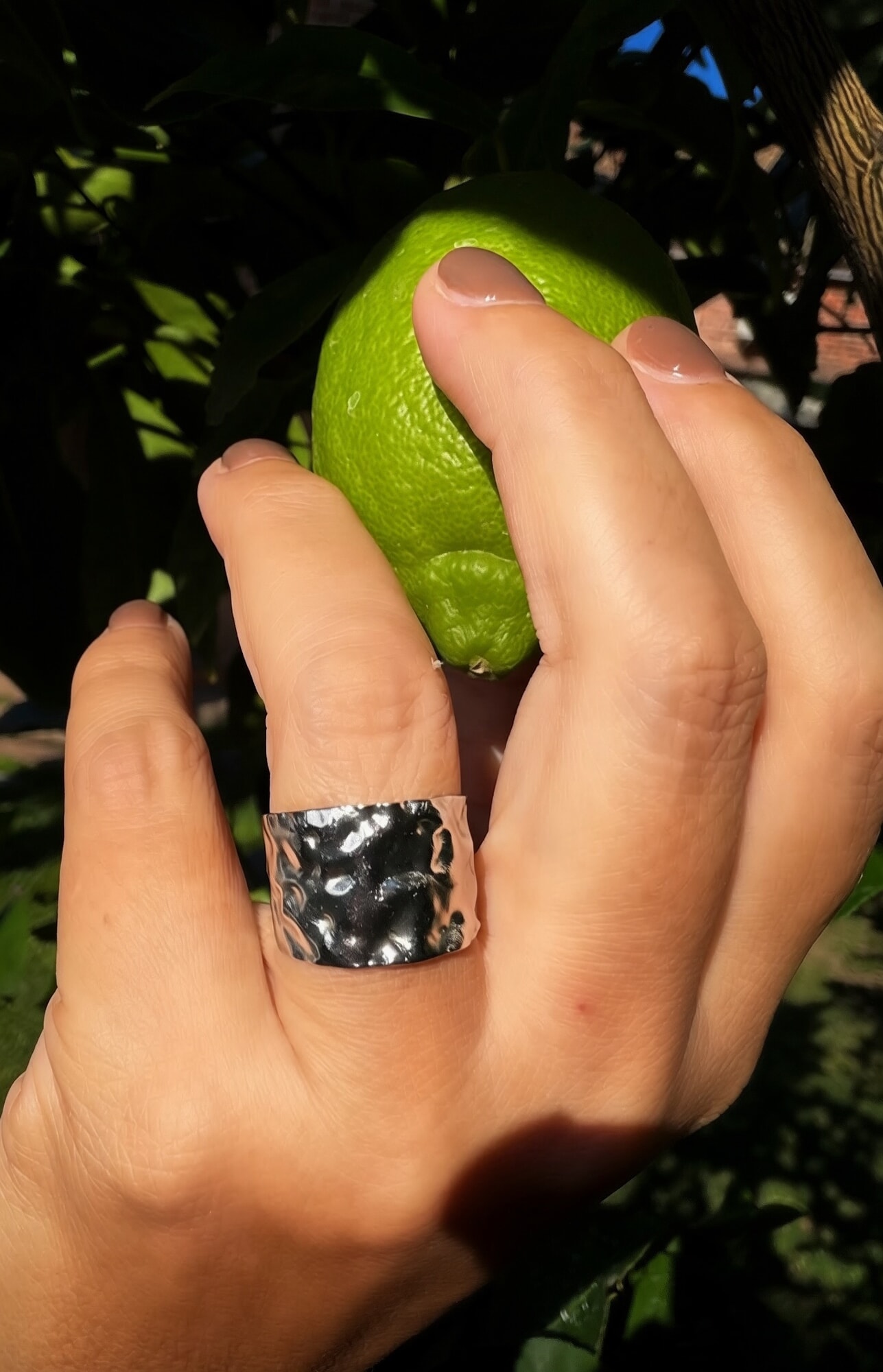 Anillo LETIZIA en acero plateado
