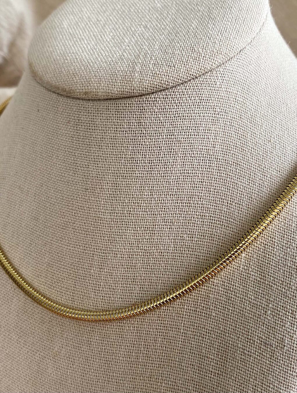 Collar GOLD SNAKE en acero dorado