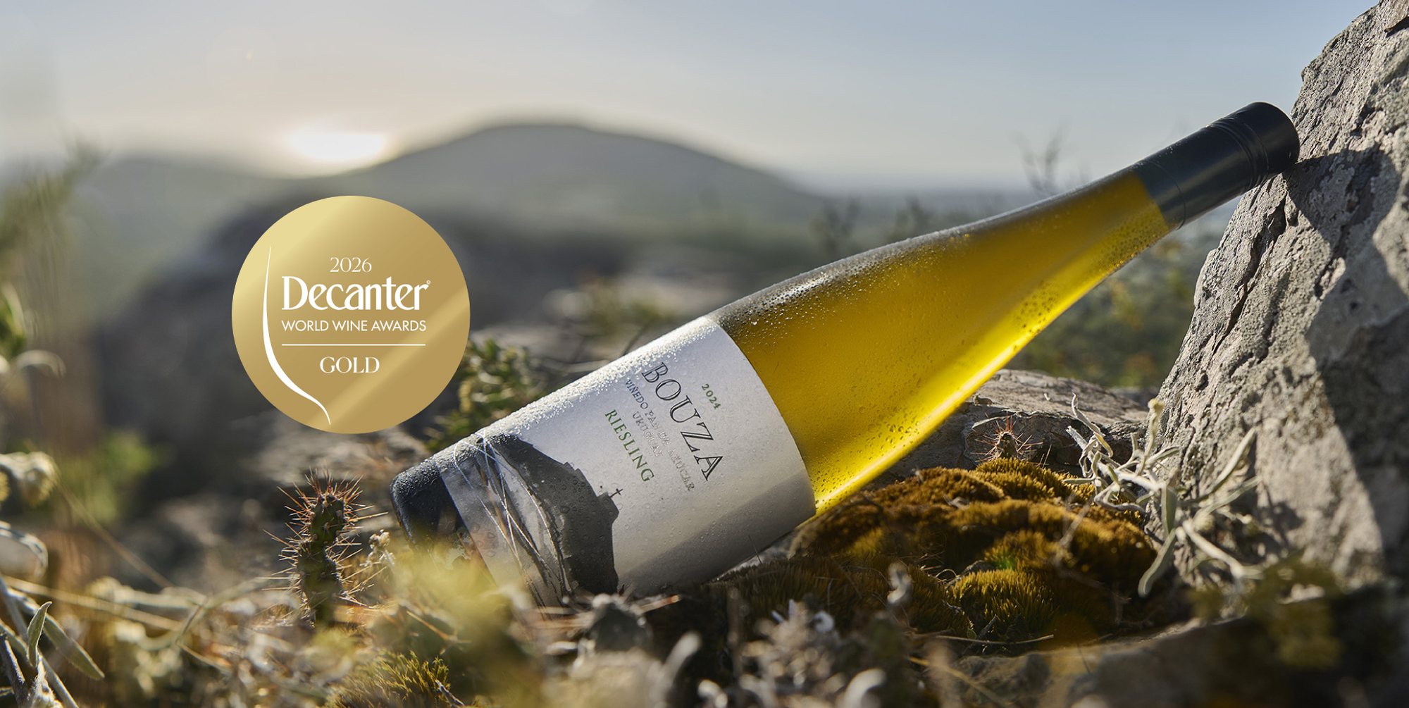 Bouza Riesling Pan de Azúcar 2024 obtuvo Medalla de Oro en Decanter World Wine Awards 2026