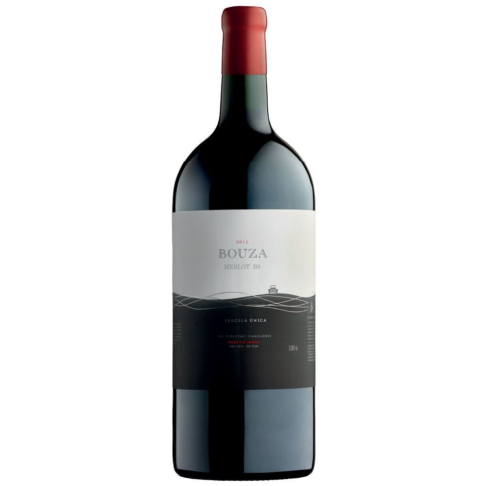 Merlot Parcela Única B9 Doble Magnum